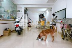 Nhà bán hxh 3 tầng đường số phường 1 quận 8 giá 6.8 tỷ