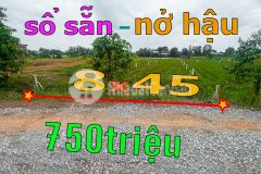 Xả hàng cuối năm lô 1000m2 giá cực mềm mặt tiền đá xanh 7m rớt nhựa 839 bình thành 200m đức huệ