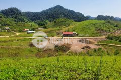 Bán mảnh đất tại mộc châu, rộng đẹp, khai thác du lịch cực tốt