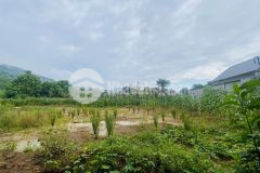 Bán gấp lô đất dt 2663m2 có 2 mặt tiền hơn 100m giá chỉ 2,xtrm2