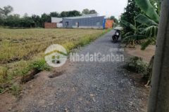 Đất ruộng huyện bình chánh 1 400m2