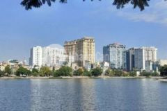 Mặt phố hoàng cầu 238m2x10m 4tầng kinh doanh 75 tỷ