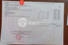 Đang nợ bán gấp chỉ 450 triệu1000 m2 đường nhựa