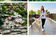 Giỏ hàng mizuki ck khủng 8 nhận nhà 2023