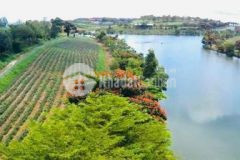 Gia đình kẹt vốn cần xoay dòng tiền bán gấp