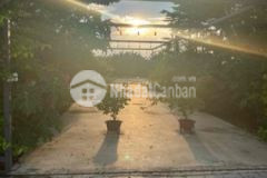 Hình thật 100 lô biệt thự view hoàng hôn ở sg