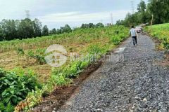 1000m2 đất vườn bến lức shr đường 6m chỉ 880tr