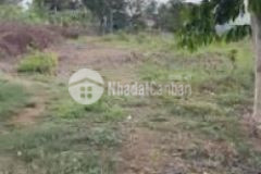 Đất vĩnh an sổ riêng phù hợp làm nhà vườn