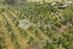 Bán nhà vườn đẹp xã ninh hưng gần dt5 giá 8tỷ9