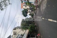 Mt đương lê cao lang