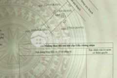 Siêu rẻ đất đấu giá đồng chợ