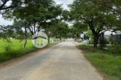 1 đường nhựa cây me phước đông gò dầu