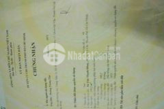 Các bạn sẽ thích sản phẩm này