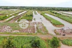 Đất đầm 1 6000m2 giá 200tr1000m2 xã phú tân