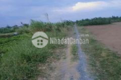 Bán 2000mv dất lúa đã lên nền giá rẽ