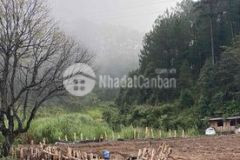 Bán đất phường 3 đà lạt