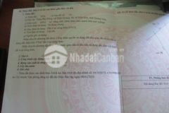 Chính chủ bán gần 500m2 thổ cư điện quang