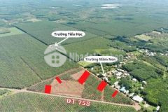 Đất tân hưng hớn quản 5000m2 đất giá đầu tư