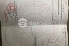 Bán đất trần nguyên hãn lê trân hải phòng