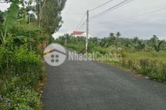 Bán cặp nền chí sinh 2 giấy riêng