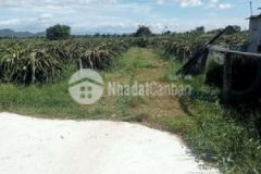 Bán 4sào đất view suối cực đẹp thôn 5 hàm liêm