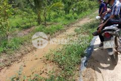 Cần bán 4 công đất trồng cây ăn trái lộ hoa lam