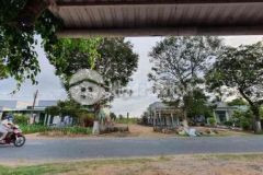 Đất cây lâu năm thích hợp nghỉ dưỡng mặt tiền