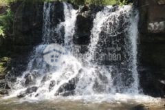 Chuyển nhượng quyền sử dụng