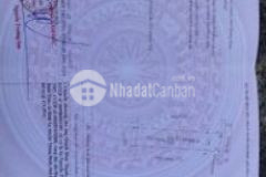 Bán đất tam xuân 5 25 giá 3xx rẽ nhất thị trường