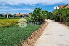 Bán đất hội thành ninh giang ninh hòa khánh hòa