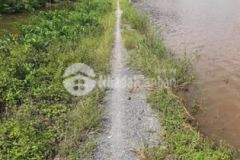 Bán 1 công đất đường xe máy cách chợ hòa thành 3km