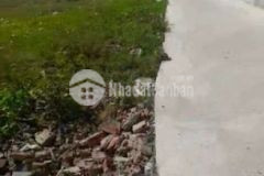 Bán lô thổ 250m2 nhựt chánh long an