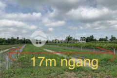 Bán 2000m2 vườn trường long phong điền cần thơ