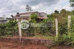 Bán đất dt khủng bình thuận buôn hồ