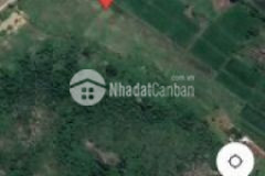 Bán đất bắc bình bình thuận giá rẻ