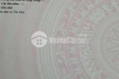 Cần gấp gấp lô đất đươg 16a1 kdc tân đức giá rẻ