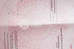 Diên thạnh hướngđông vàhướngtây gần lộ và ubnd xã