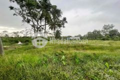 Kẹt tiền ra gấp nền thồ cư cách tp cần thơ 15 phut