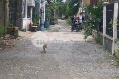 Cần bán căn nhà 55m2 đang cho thuê ở hóc môn giá 750 triệu.