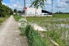 Bán nền thuộc khu vực thới hòa c, phường long hưng, quận ô môn, tp. cần thơ