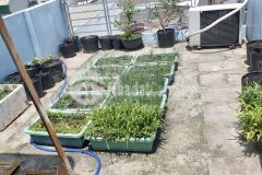 Hẻm 5m cách mặt tiền 70m sổ vuông 4x12.5 4 tầng btct mới xây đẹp lung linh.