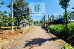 1000m2 đất có vườn trái cây thu hoạch tốt hơn 1tỷ