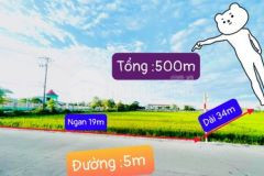 Bán lô biệt thự 500m tp đà nẵng