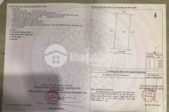 Bán miếng đất nông nghiệp sổ đồng sở hữu giá rẻ