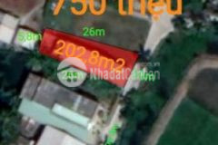 Bán gấp lô đất thổ mặt tiền đường đan giá 750 tr