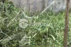 Hàng đầu tư 6x20 1 nguyễn thị dưỡng fullthổ 2tỉ5