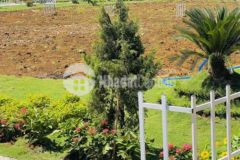 Bán gấp đất mt lê duẩn bảo lâm 559tr shr 172m2