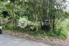 Chính chủ cần bán đất mặt tiền mai thị bụi xã pva