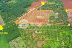 Mở bán đợt 1 kdc green garden bình phước