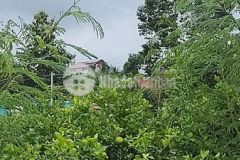 Bán 5 sào đất đã có 5 sổ riêng từng nền